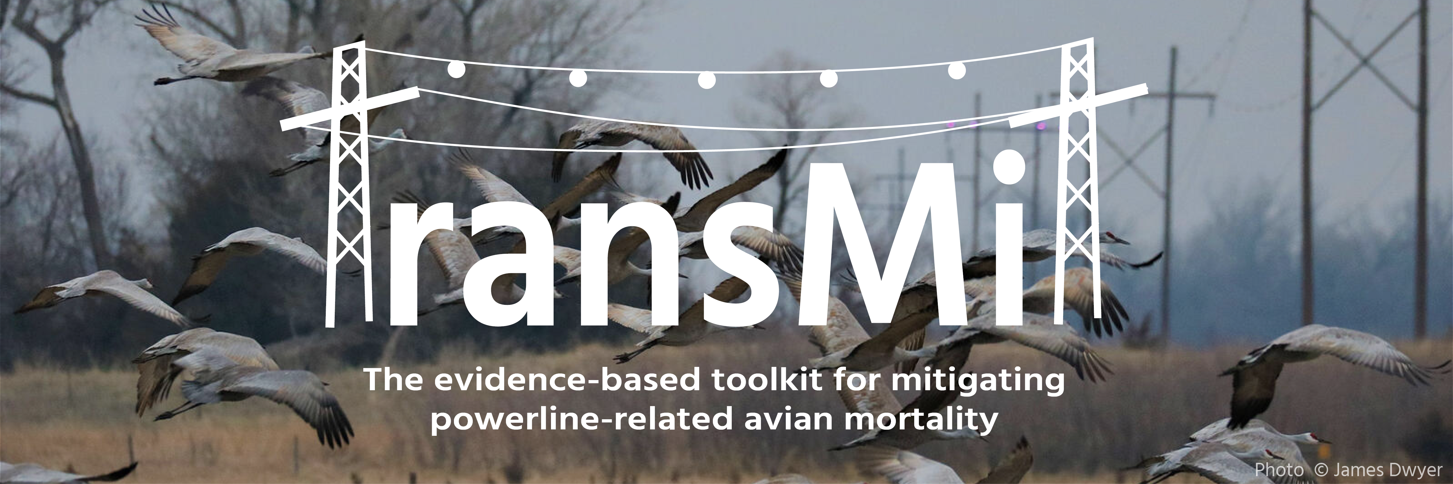 TransMit: The evidence-based toolkit for mitigating powerline-related avian mortality